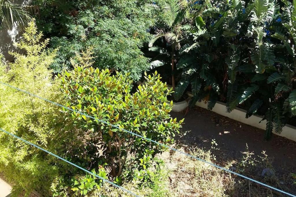 Seaside Family Apartment Loutraki Zewnętrze zdjęcie